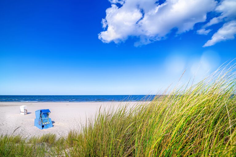 Usedom fur singles